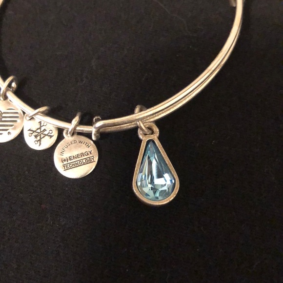 💎 Alex and Ani 💎Charm Bracelet - Picture 2 of 6